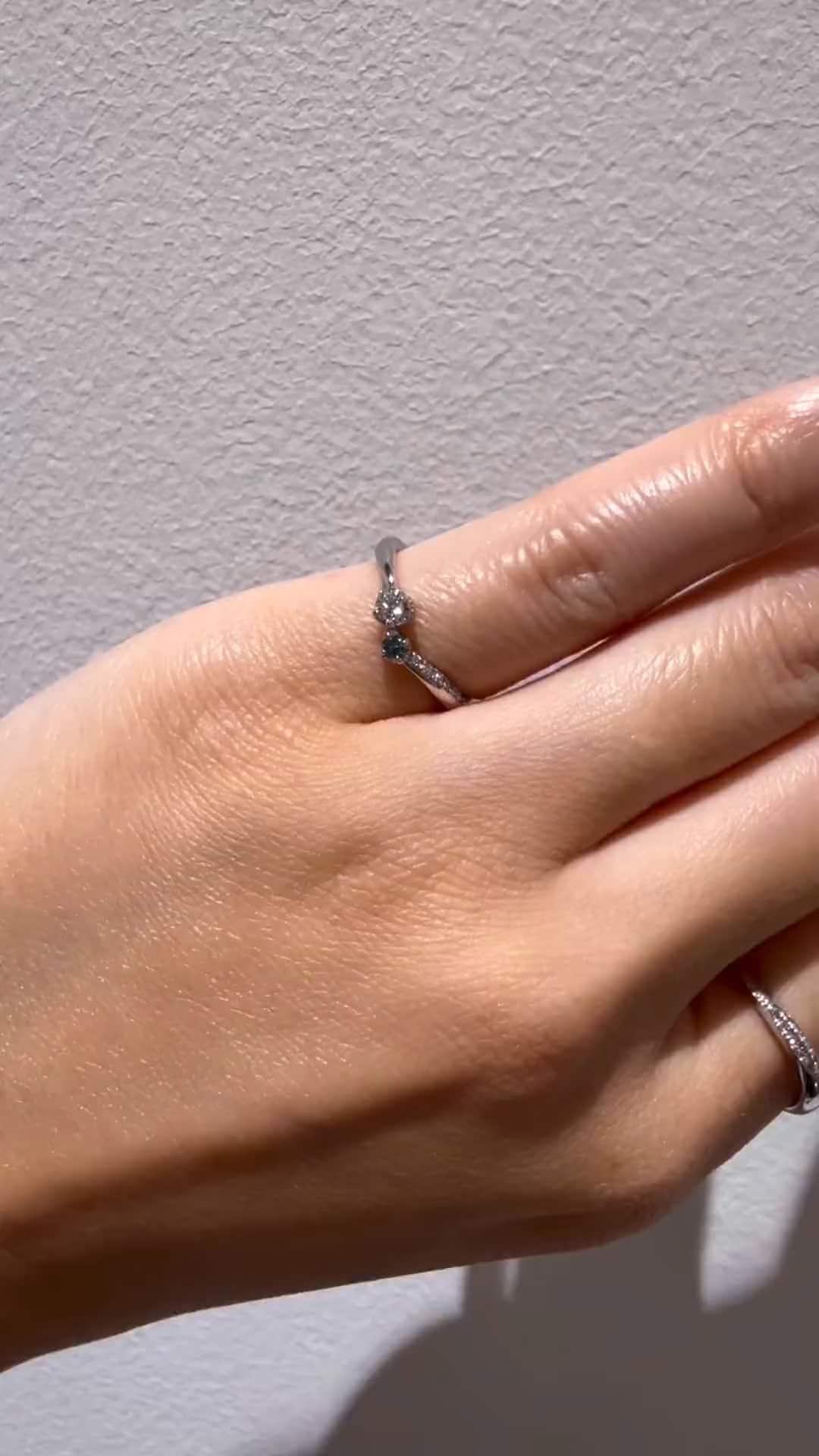 festaria bijou SOPHIA 大丸東京店 大國護 聖菜