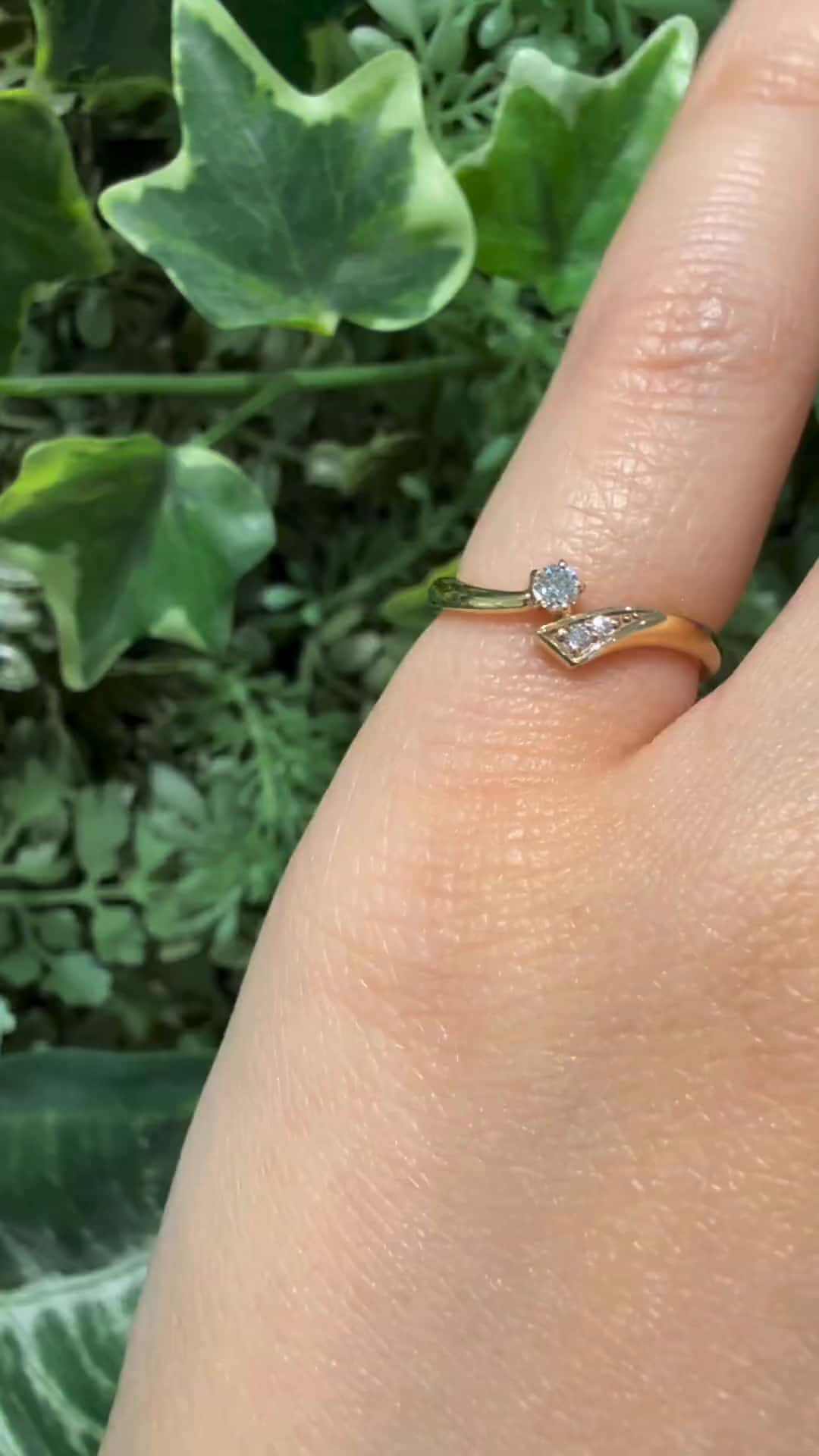 festaria bijou SOPHIA 大丸東京店 大國護 聖菜