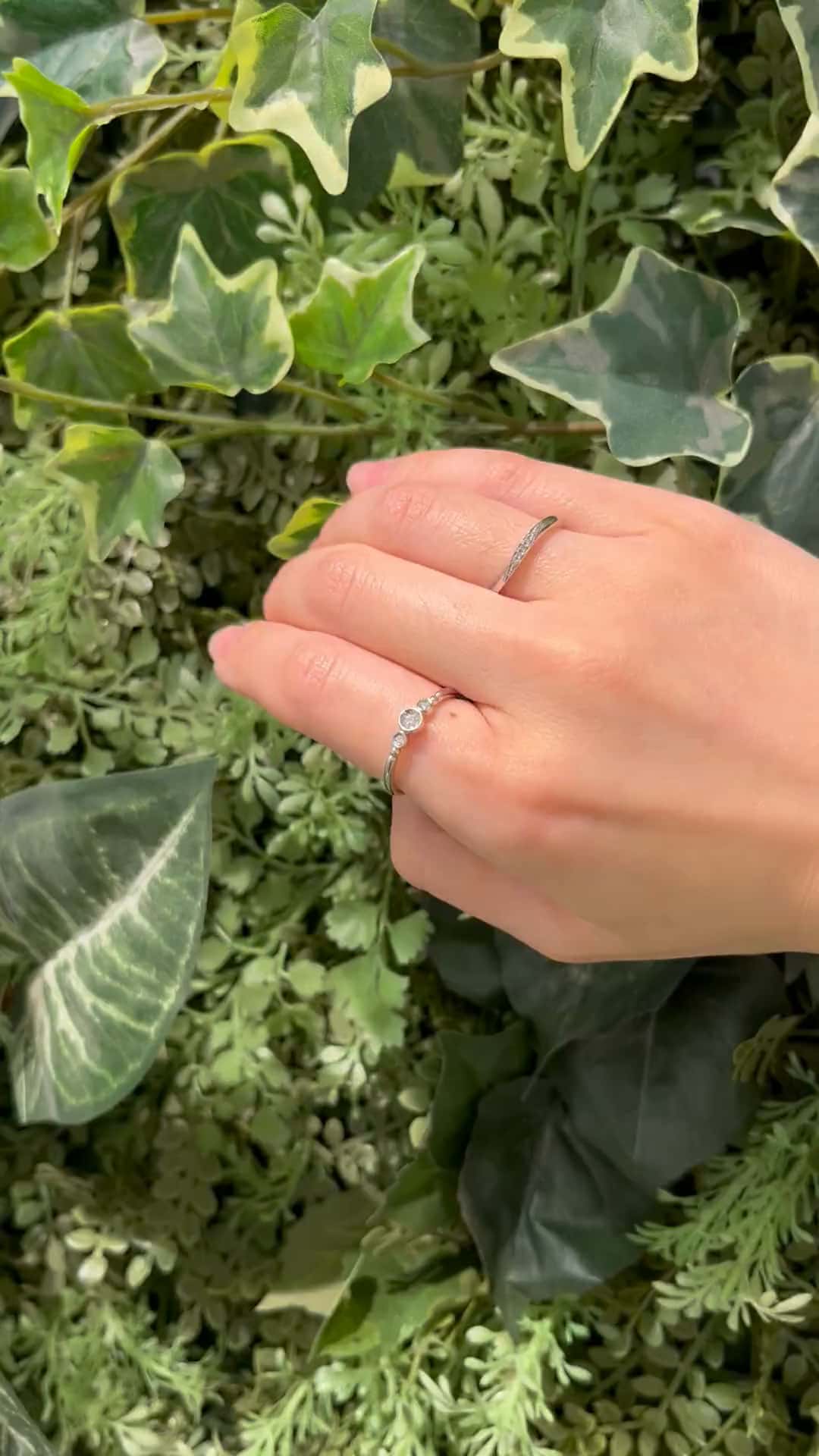 festaria bijou SOPHIA 大丸東京店 大國護 聖菜