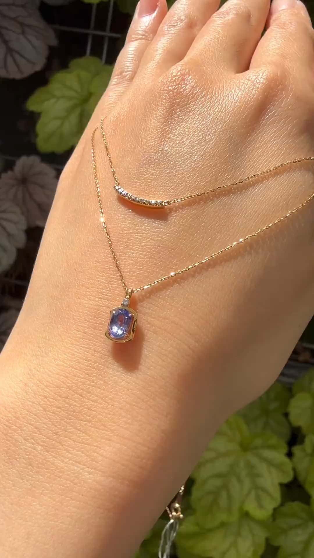 festaria bijou SOPHIA 大丸東京店 大國護 聖菜