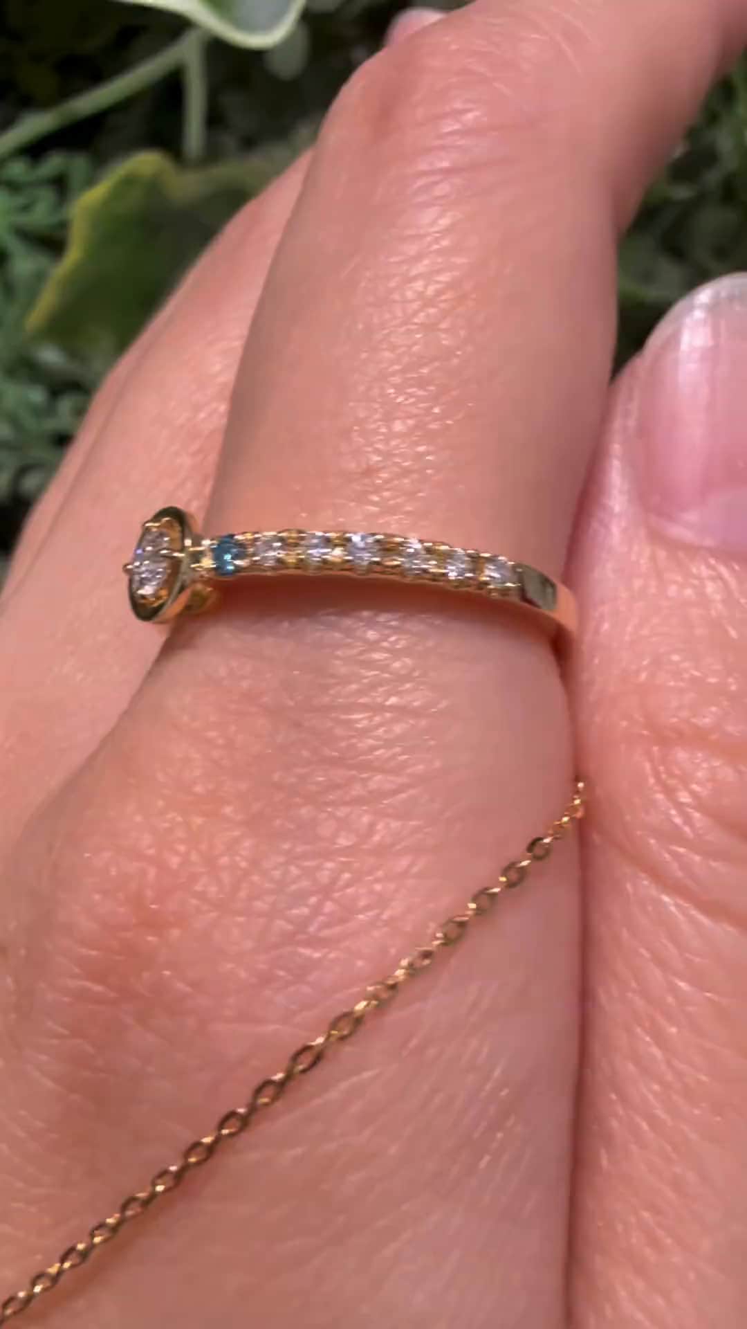 festaria bijou SOPHIA 大丸東京店 大國護 聖菜