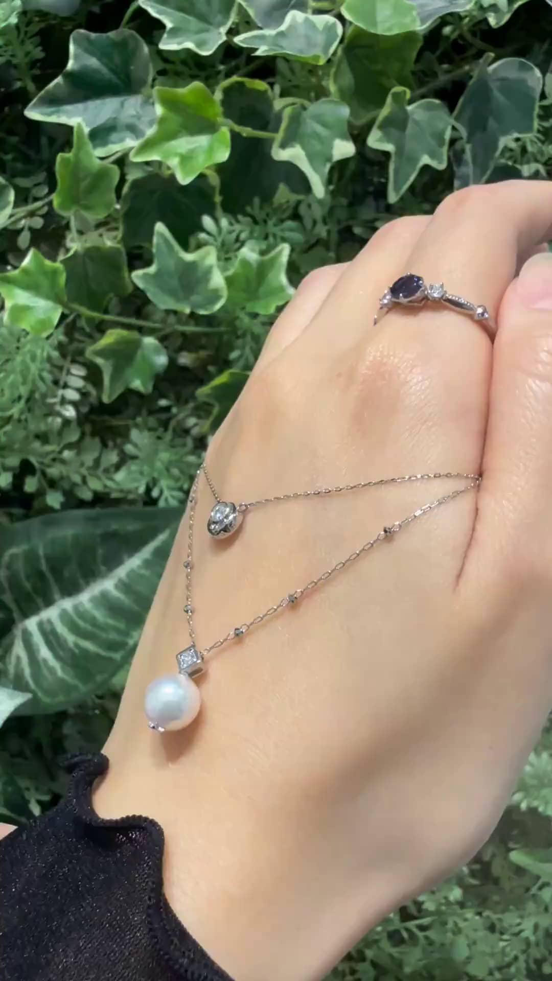 festaria bijou SOPHIA 大丸東京店 大國護 聖菜