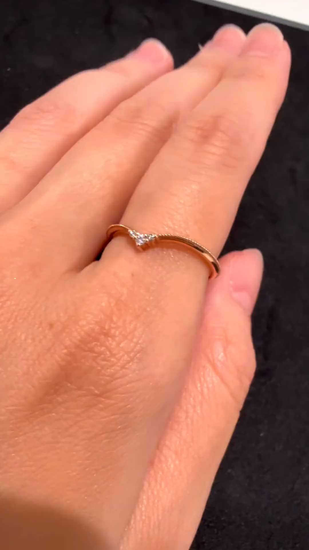 festaria bijou SOPHIA 大丸東京店 大國護 聖菜