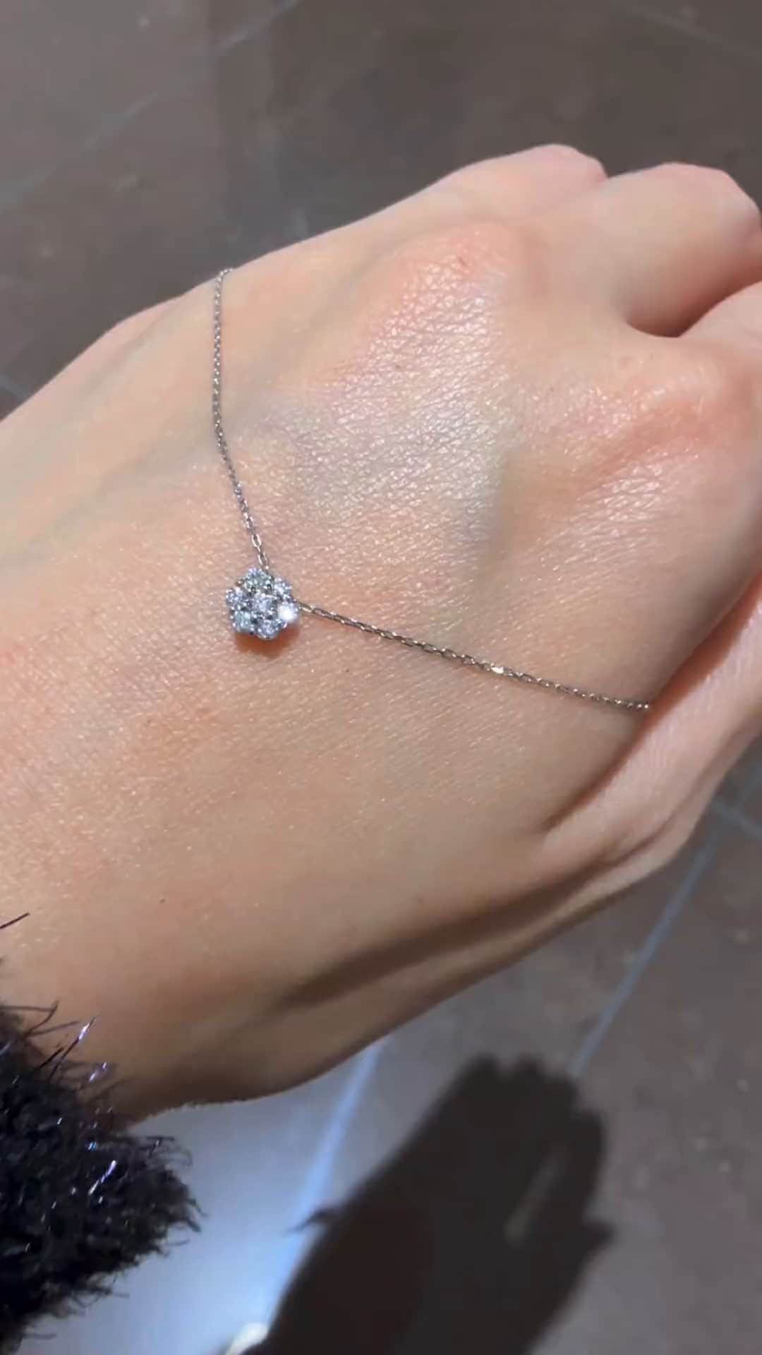 festaria bijou SOPHIA 大丸東京店 大國護 聖菜