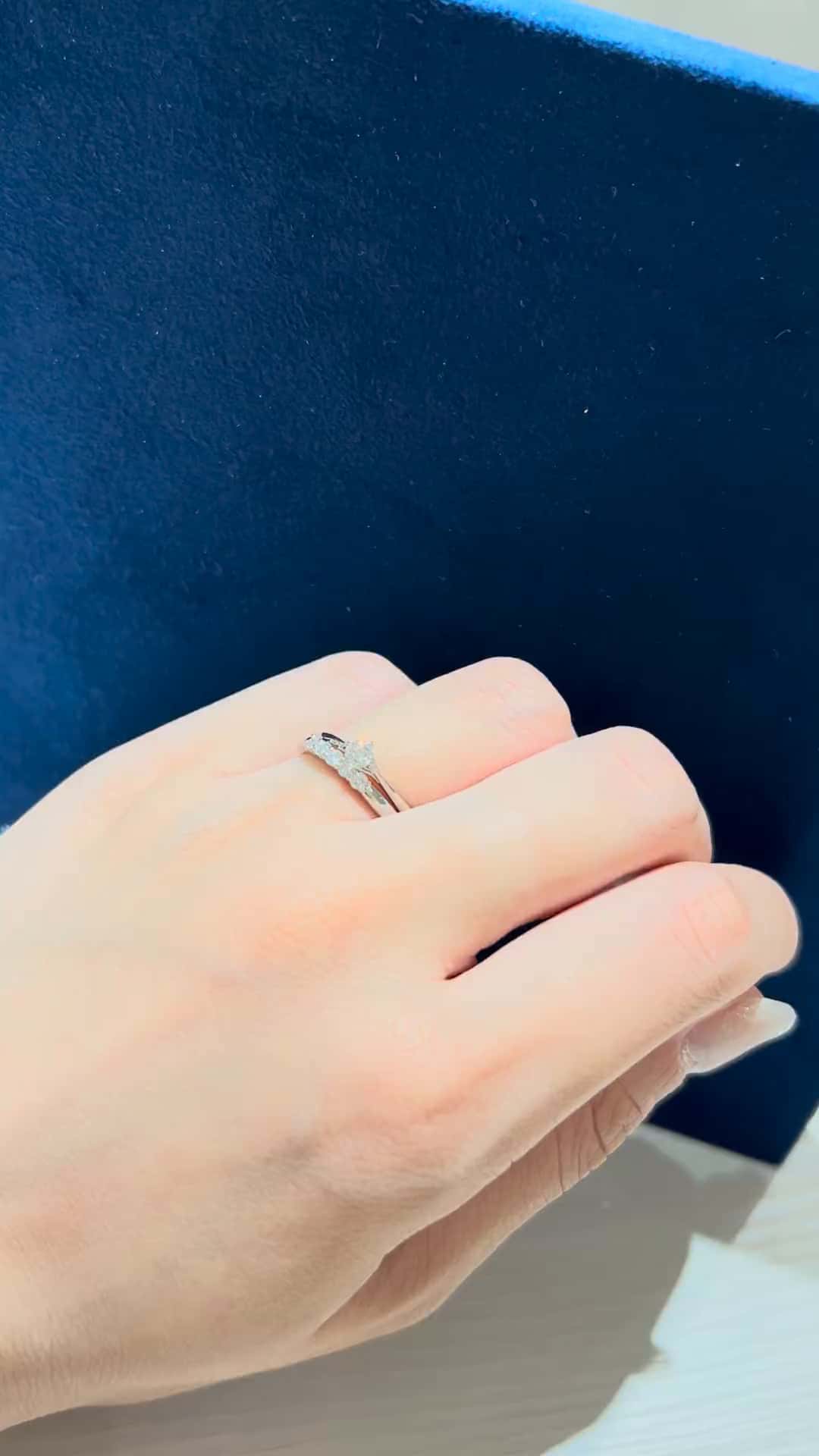 festaria VOYAGE アミュプラザ長崎店 すみれ