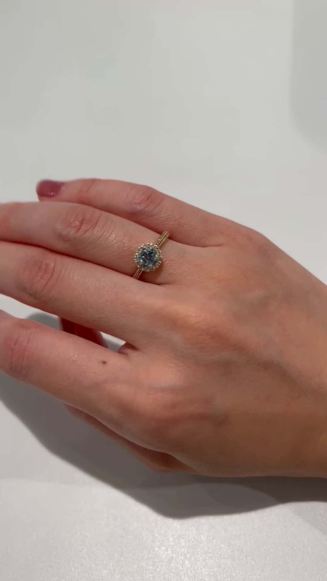 festaria bijou SOPHIA 大丸東京店 大國護 聖菜