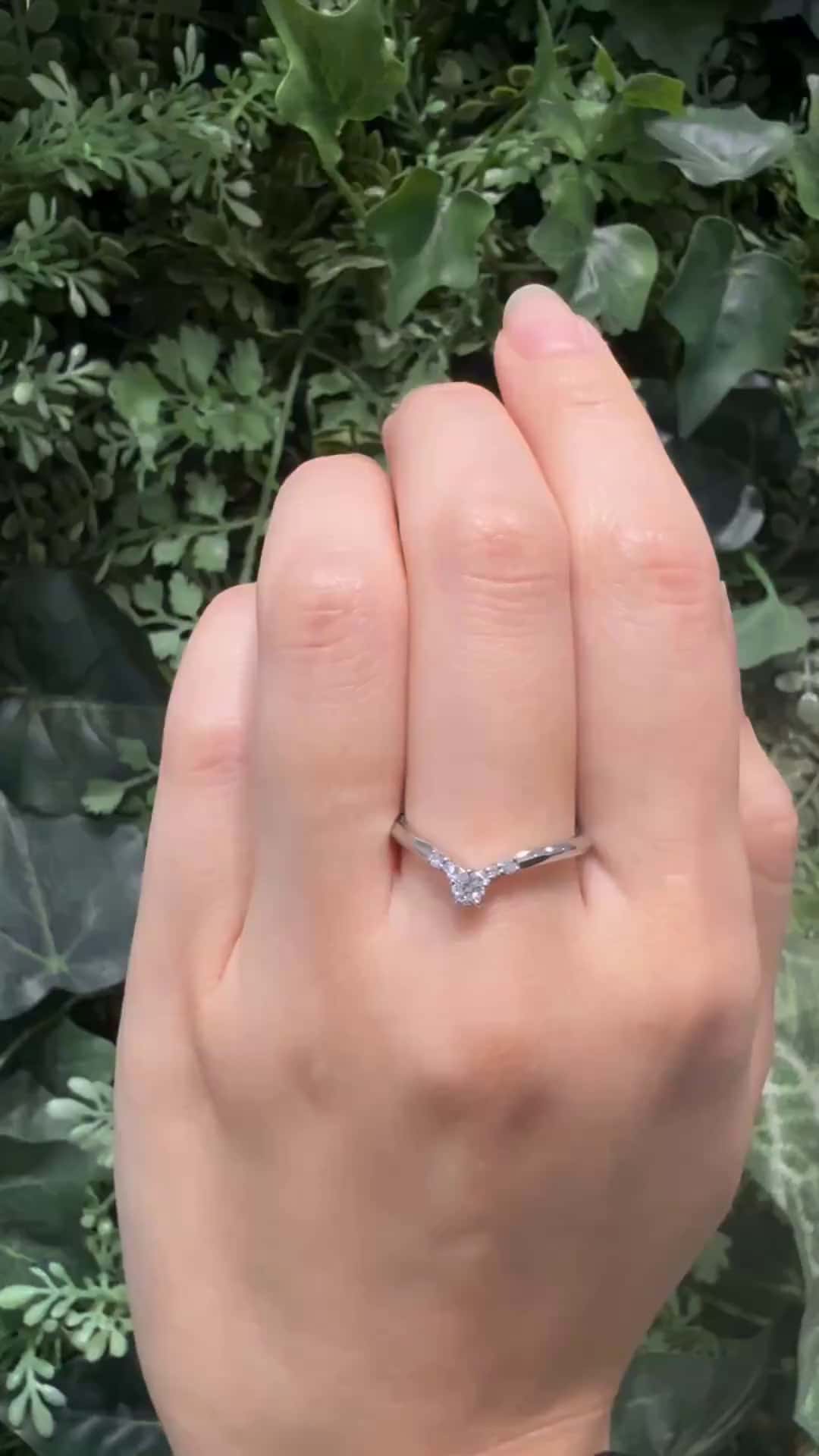 festaria bijou SOPHIA 大丸東京店 大國護 聖菜