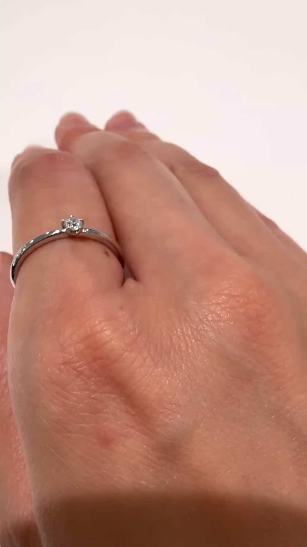 festaria bijou SOPHIA 大丸東京店 大國護 聖菜