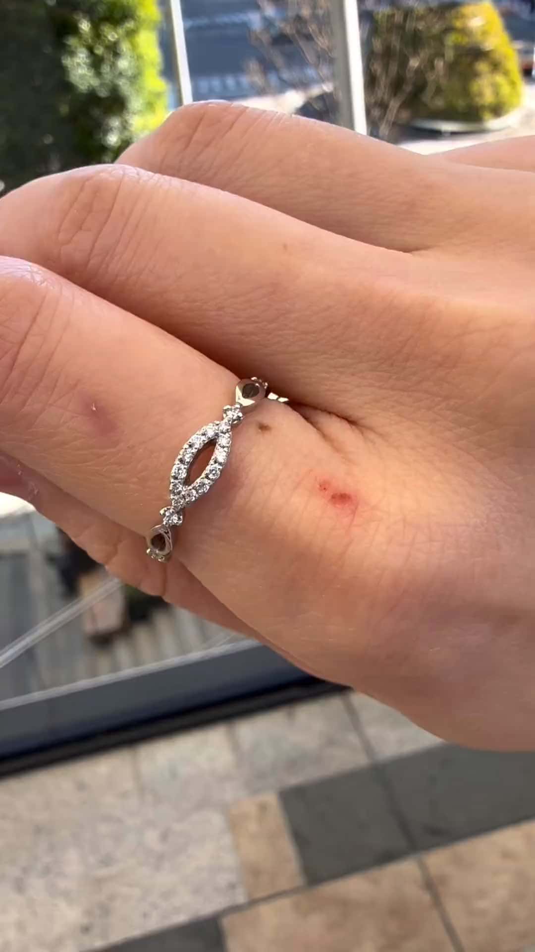 festaria bijou SOPHIA 大丸東京店 大國護 聖菜