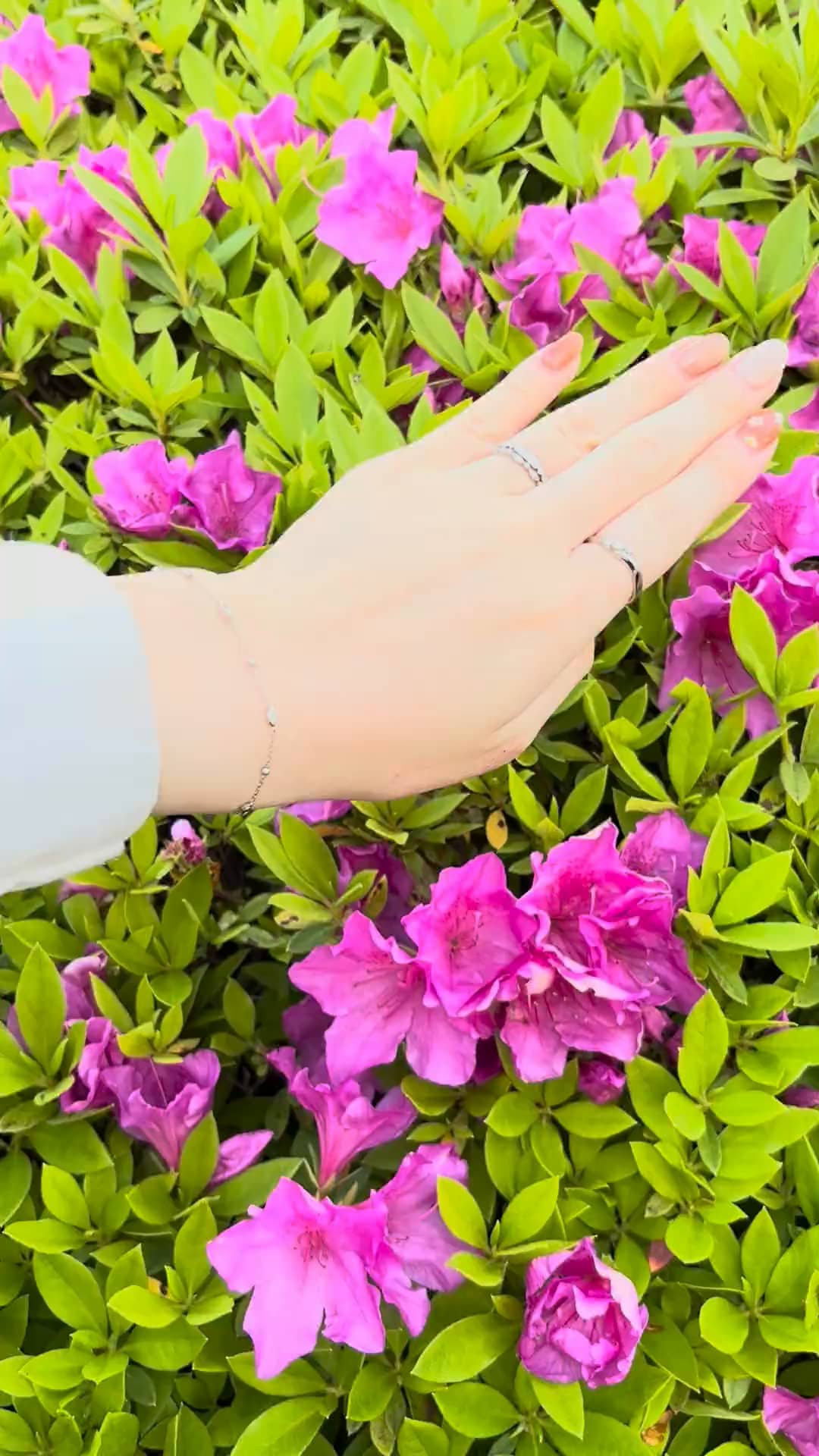 festaria bijou SOPHIA グランデュオ立川店 猪股 那奈