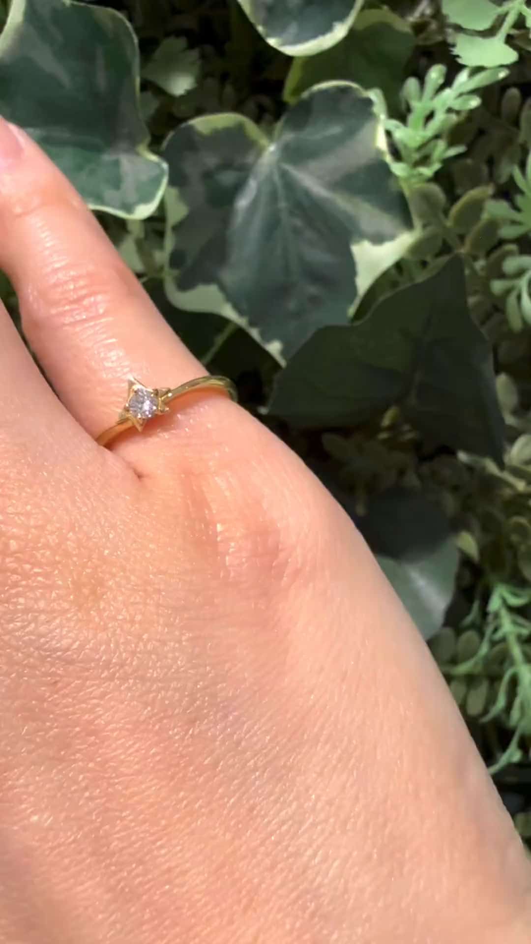 festaria bijou SOPHIA 大丸東京店 大國護 聖菜