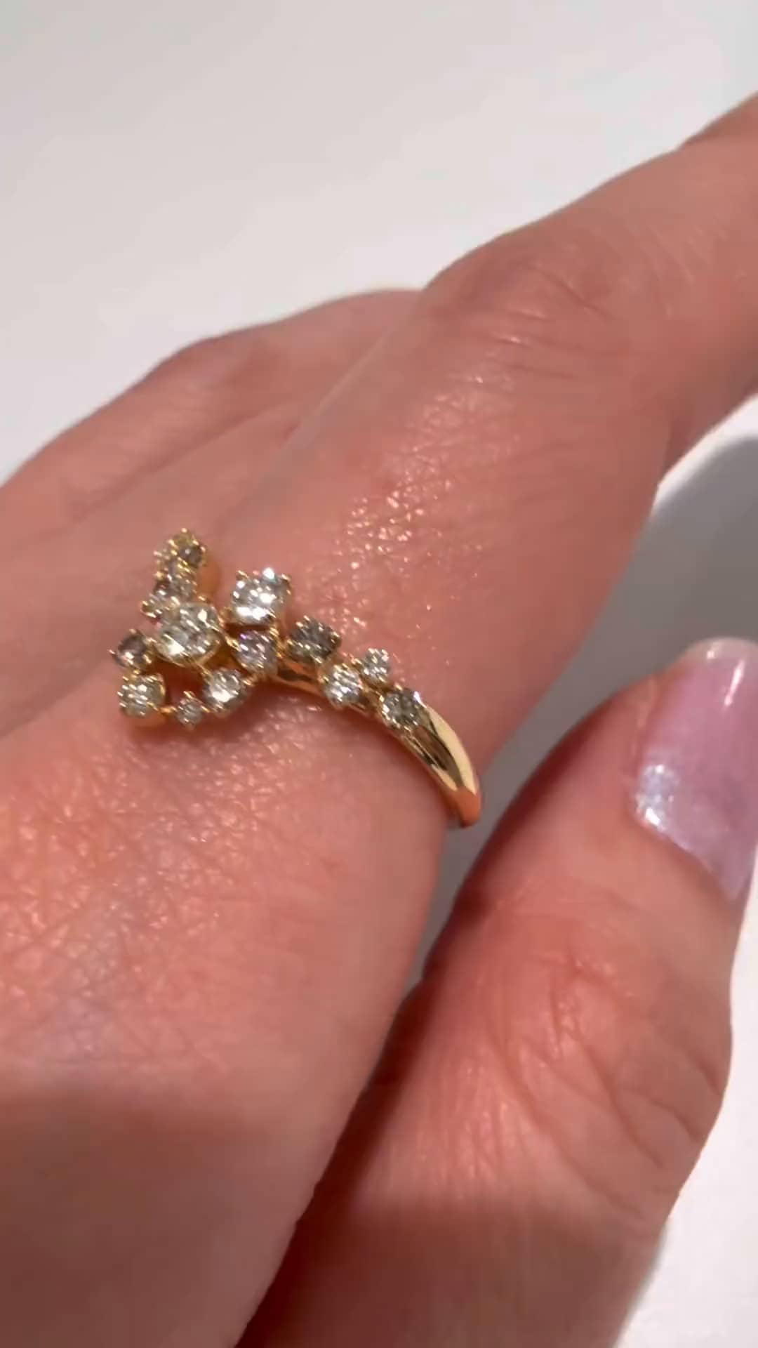 festaria bijou SOPHIA 大丸東京店 大國護 聖菜