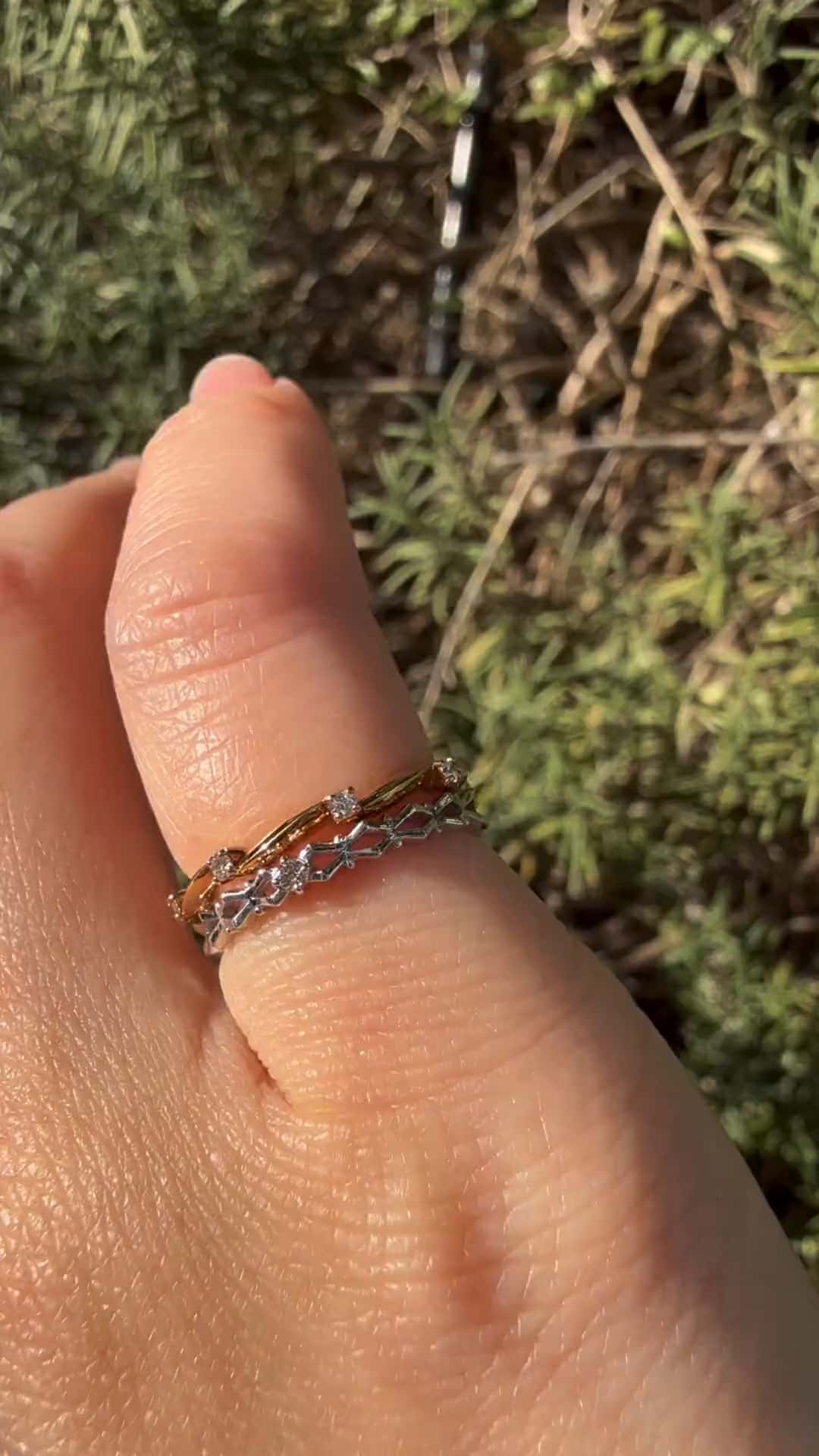 festaria bijou SOPHIA 大丸東京店 大國護 聖菜