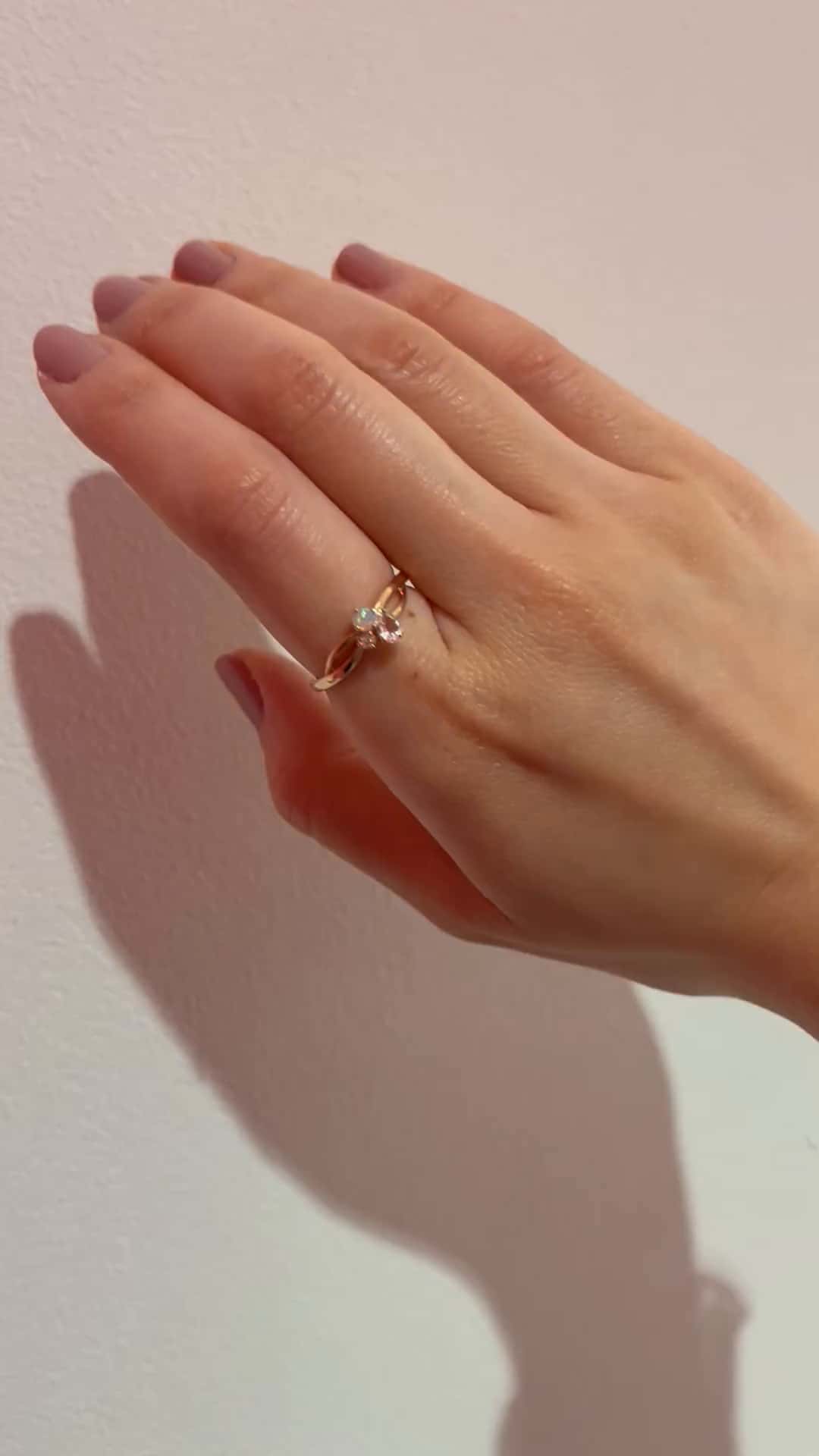 festaria bijou SOPHIA 大丸東京店 大國護 聖菜