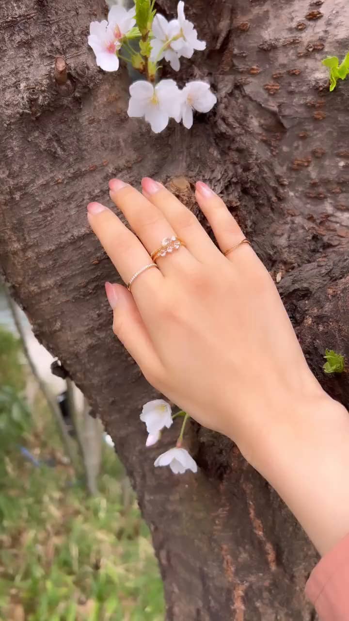 festaria bijou SOPHIA 銀座三越店 Tamegai Rei 