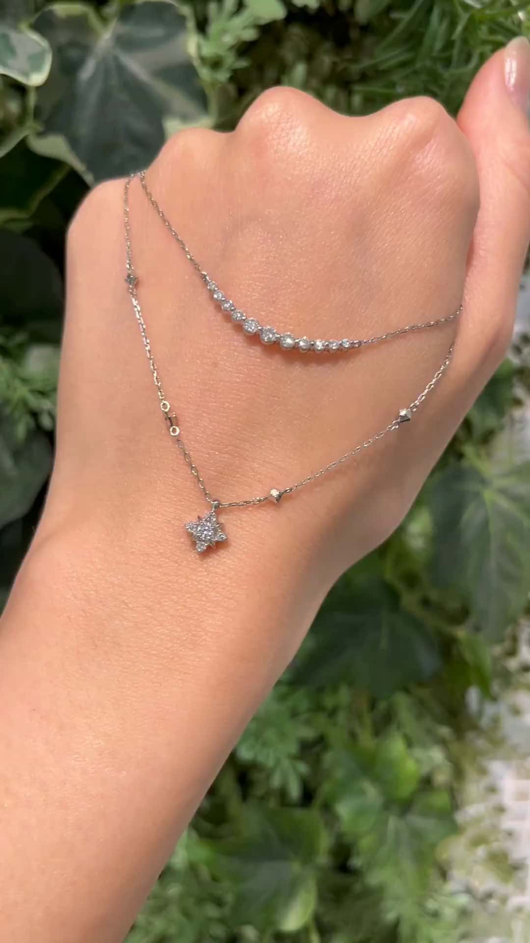 festaria bijou SOPHIA 大丸東京店 大國護 聖菜