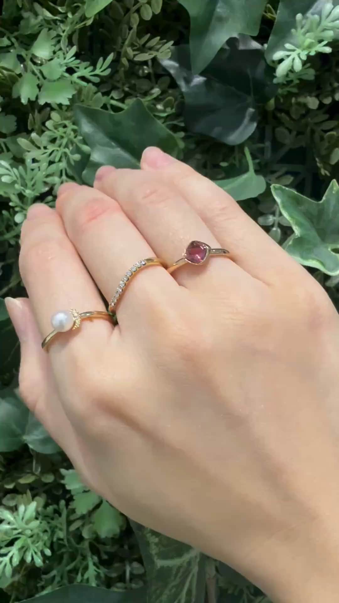 festaria bijou SOPHIA 大丸東京店 大國護 聖菜