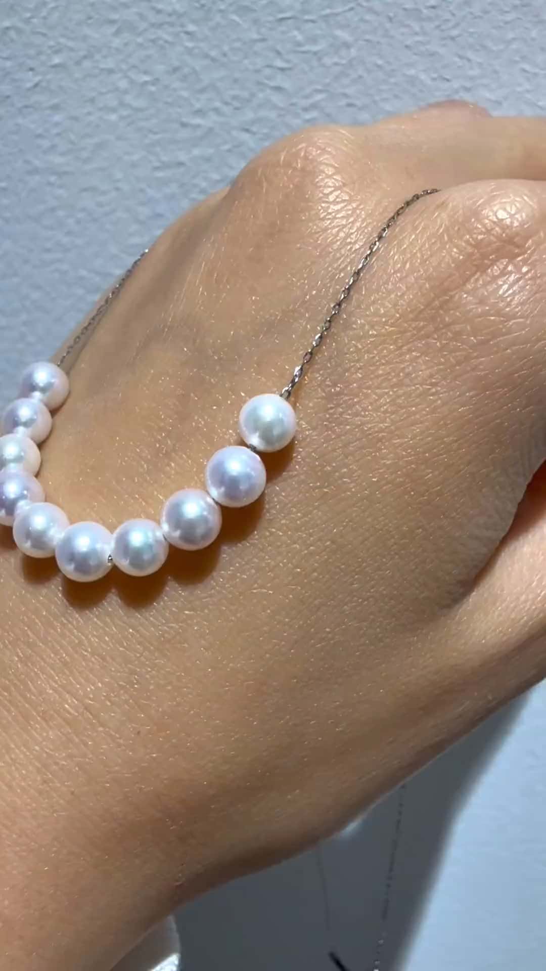 festaria bijou SOPHIA 大丸東京店 大國護 聖菜