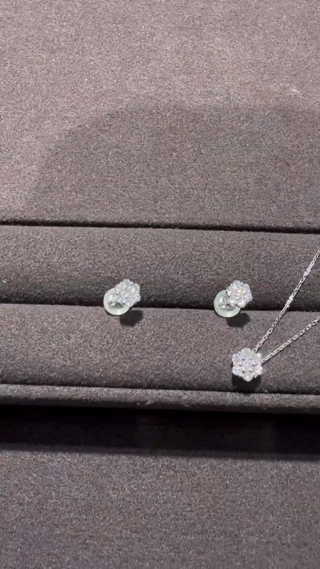 festaria bijou SOPHIA 大丸東京店 大國護 聖菜