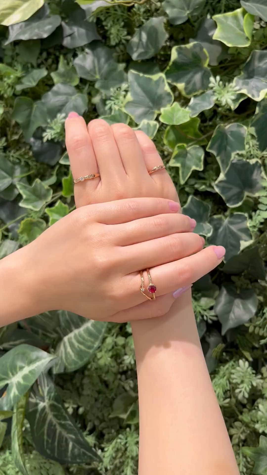 festaria bijou SOPHIA 大丸東京店 大國護 聖菜