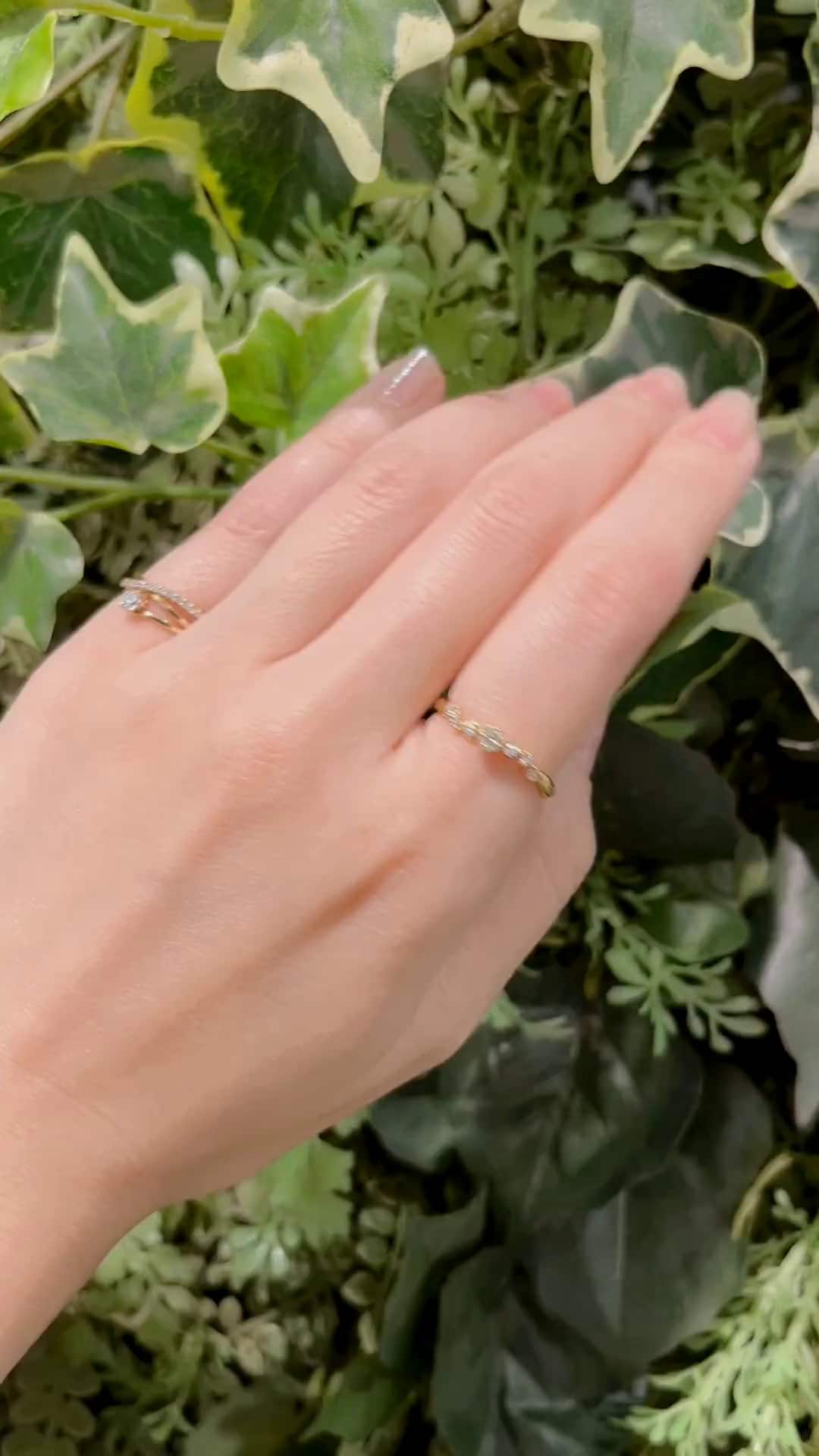 festaria bijou SOPHIA 大丸東京店 大國護 聖菜