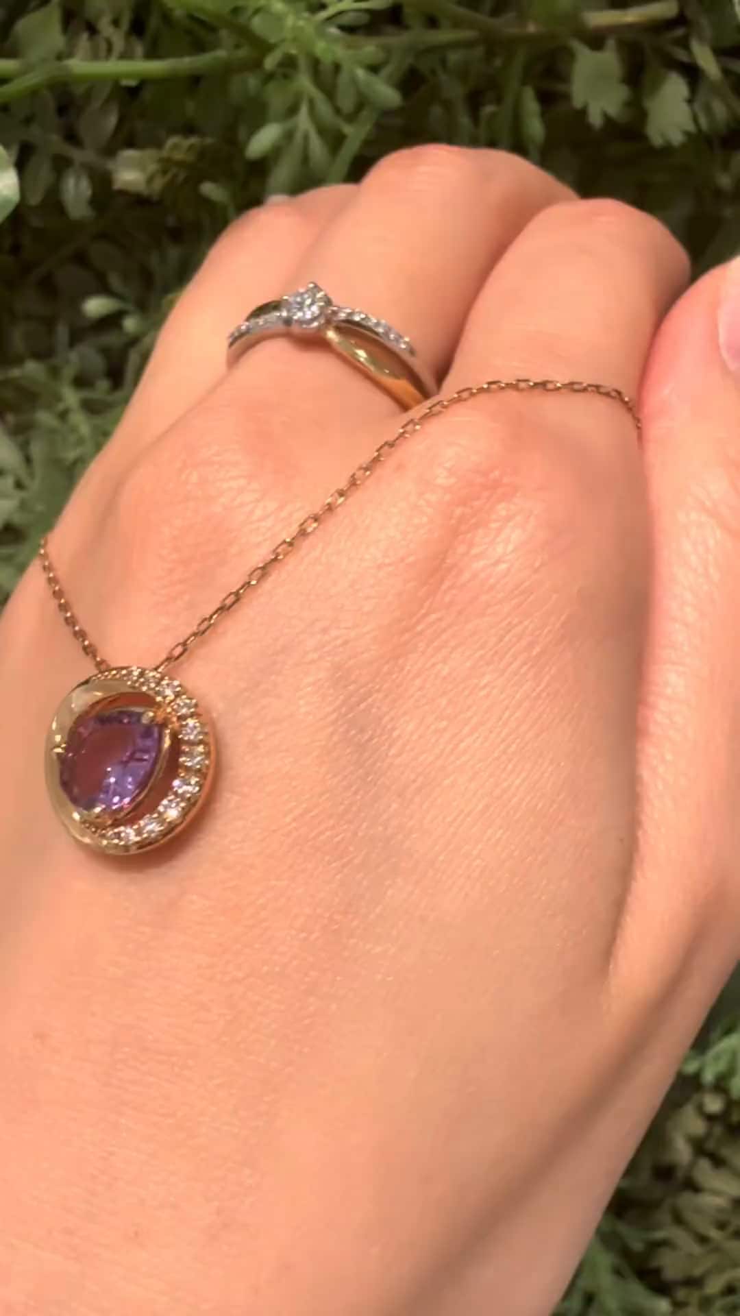 festaria bijou SOPHIA 大丸東京店 大國護 聖菜