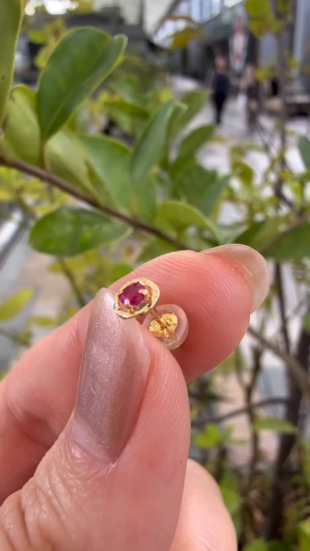 festaria bijou SOPHIA 大丸東京店 大國護 聖菜