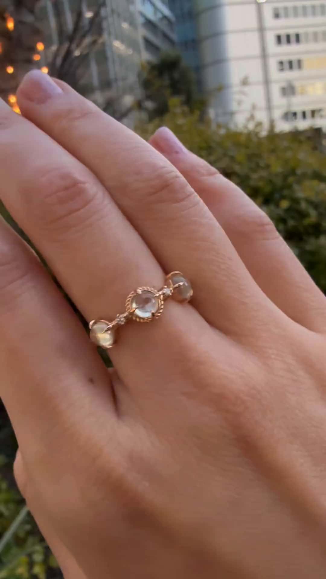 festaria bijou SOPHIA 大丸東京店 大國護 聖菜