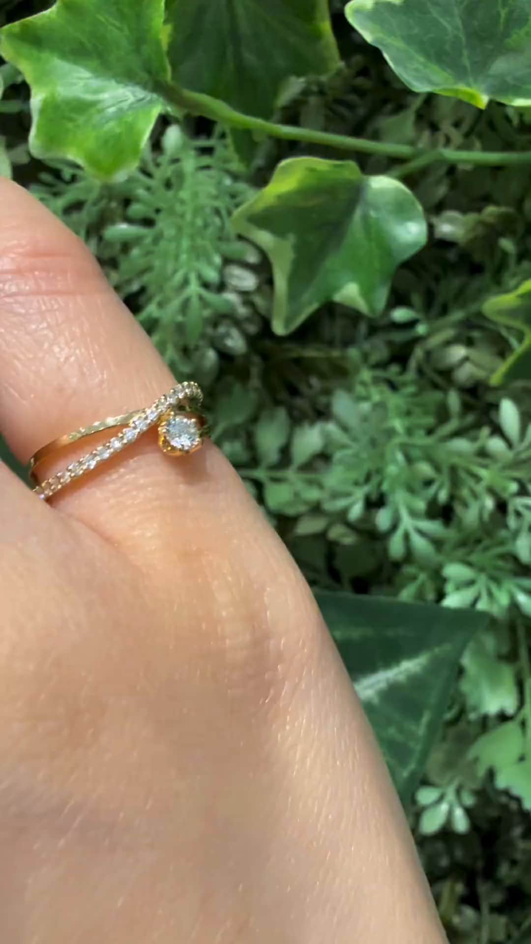 festaria bijou SOPHIA 大丸東京店 大國護 聖菜