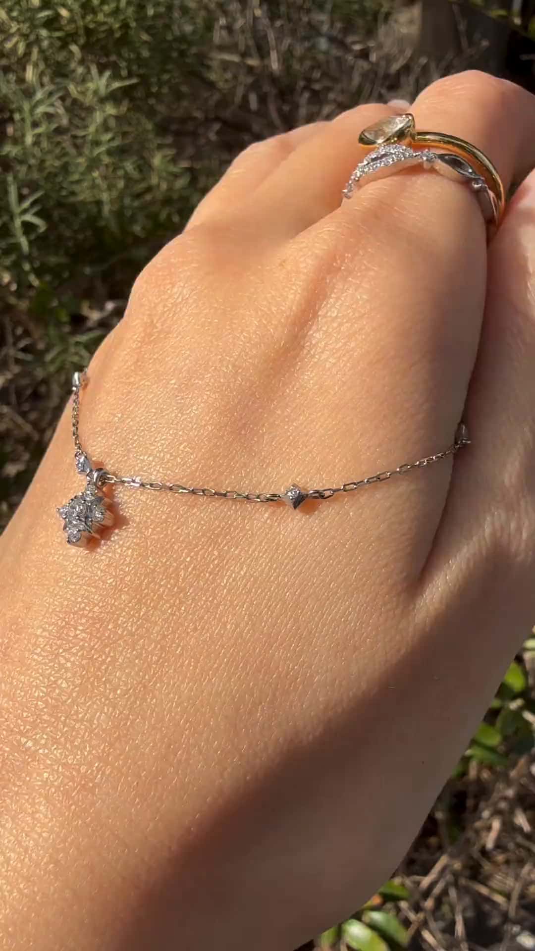 festaria bijou SOPHIA 大丸東京店 大國護 聖菜