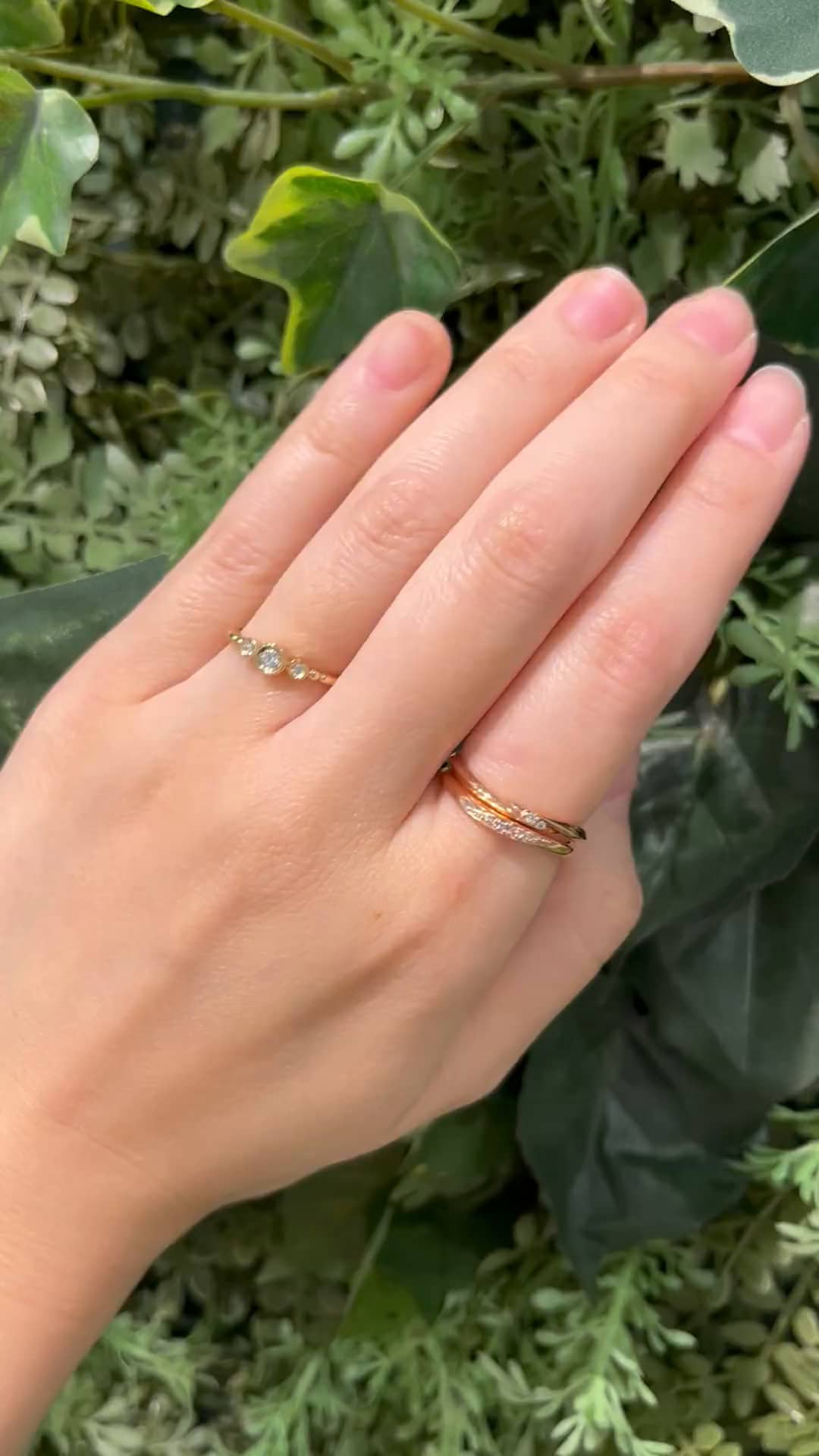 festaria bijou SOPHIA 大丸東京店 大國護 聖菜