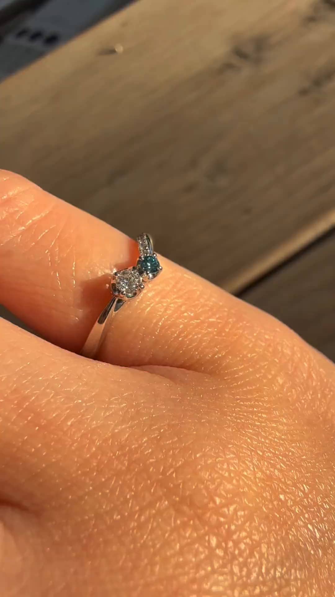 festaria bijou SOPHIA 大丸東京店 大國護 聖菜