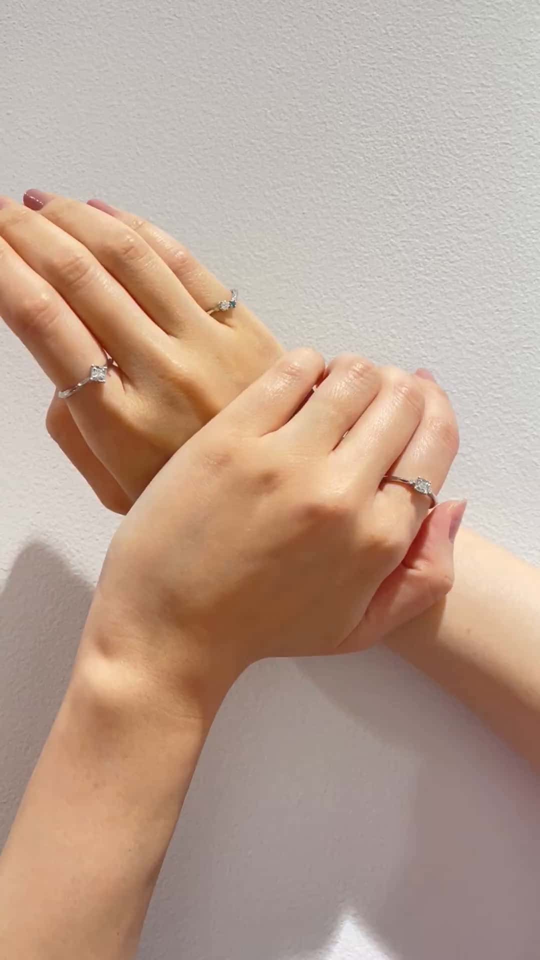 festaria bijou SOPHIA 大丸東京店 大國護 聖菜