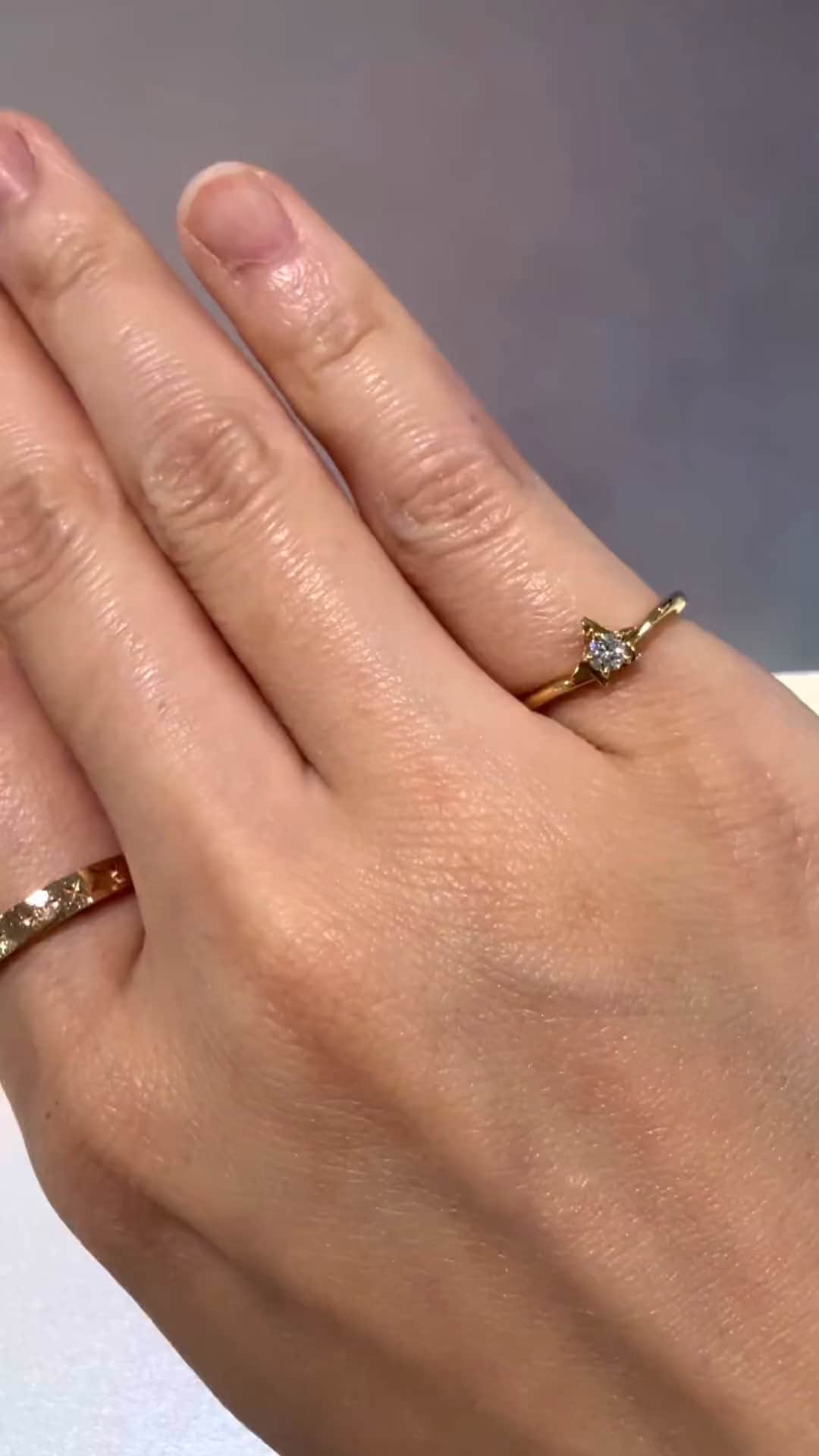 festaria bijou SOPHIA 大丸東京店 大國護 聖菜