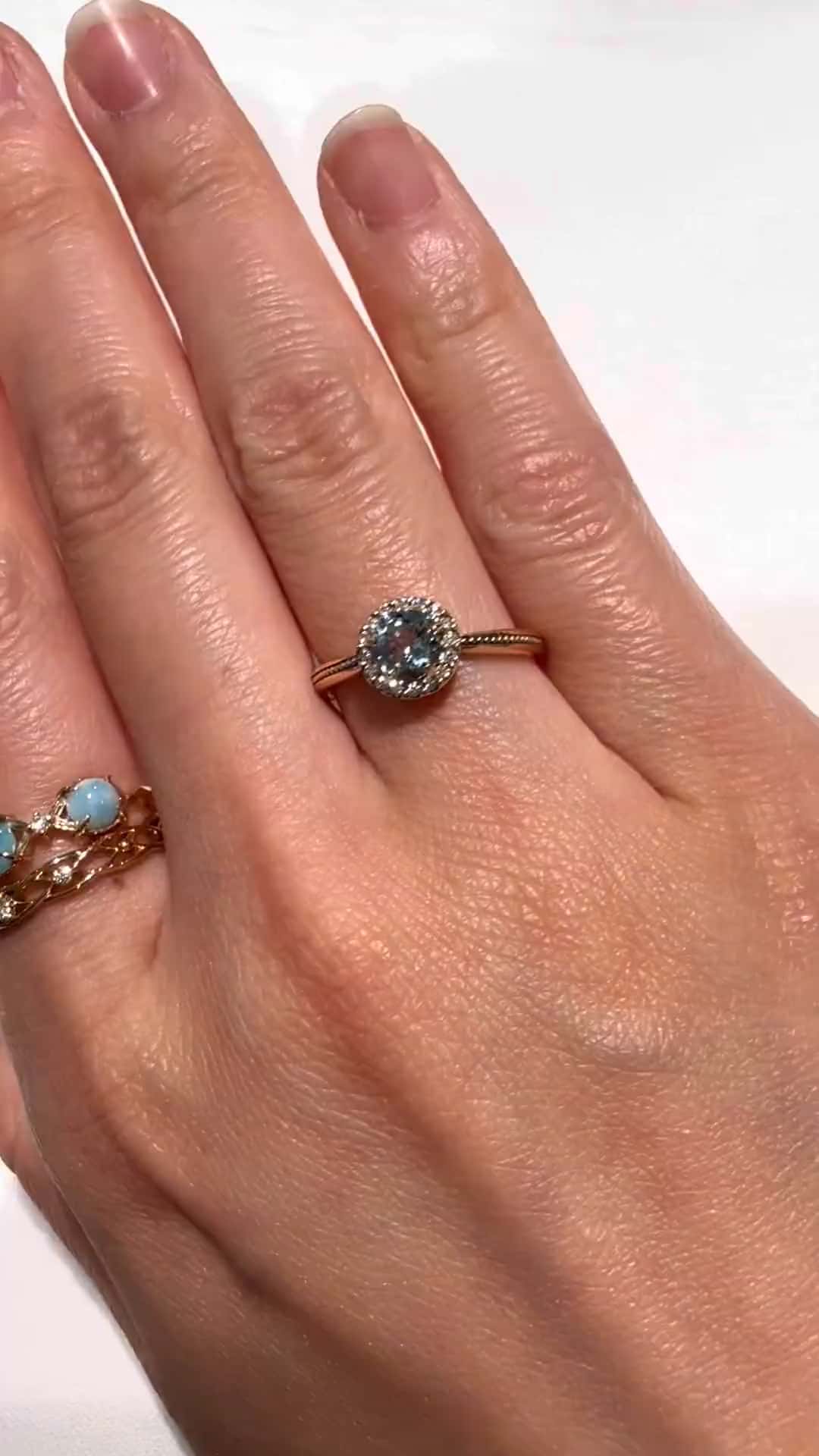 festaria bijou SOPHIA 大丸東京店 大國護 聖菜