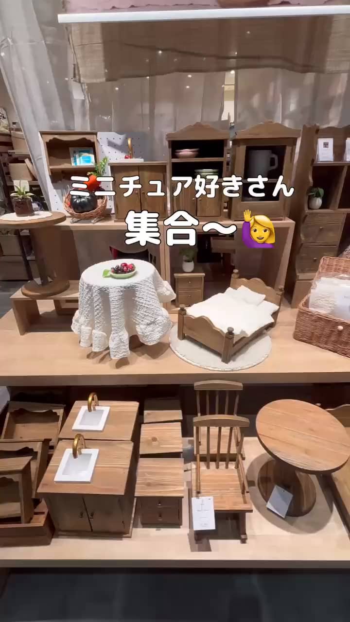 卓上仕切りラック／petit monde | salut!(サリュ)ライフスタイル | PAL