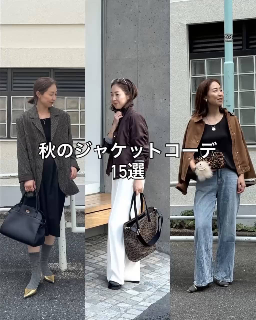 ショートビーバーテーラードジャケット | NOLLEY'S(ノーリーズ