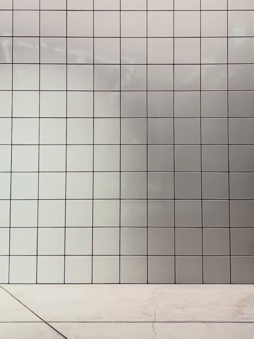 54229091