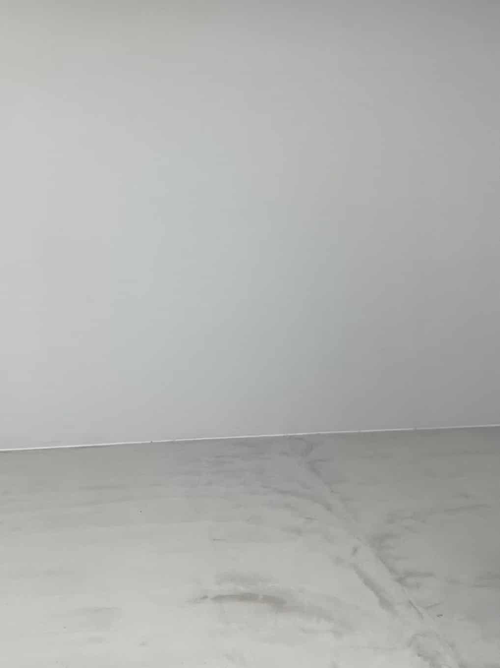 コーディネート