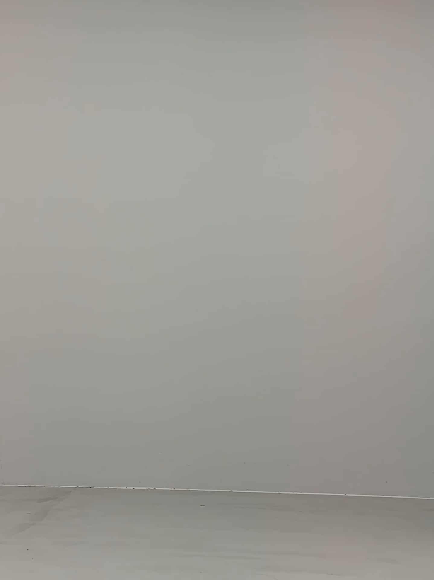 コーディネート