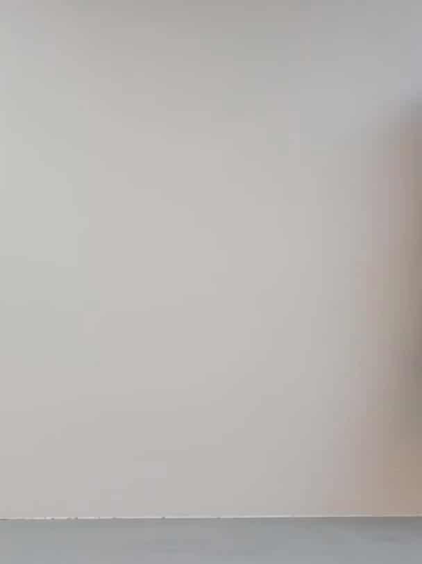 コーディネート
