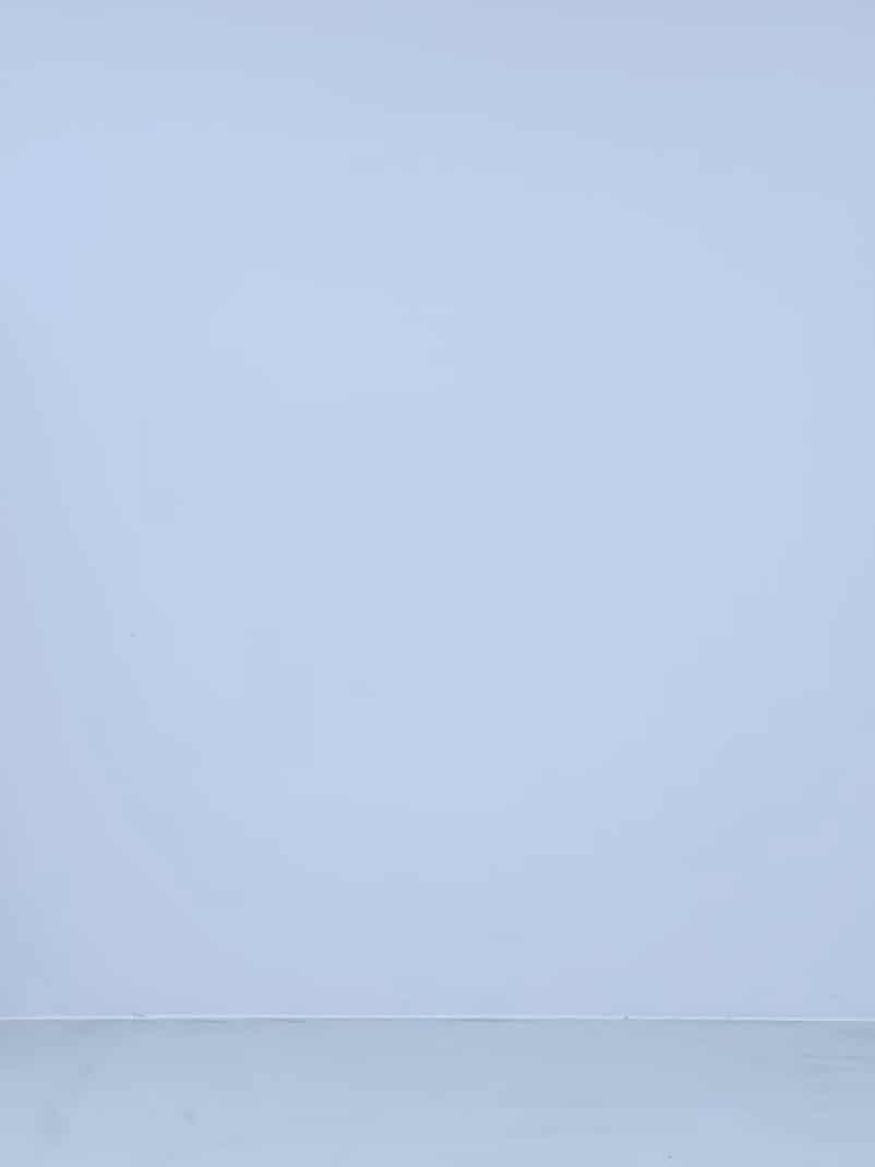 コーディネート