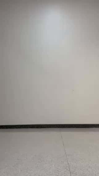 コーディネート