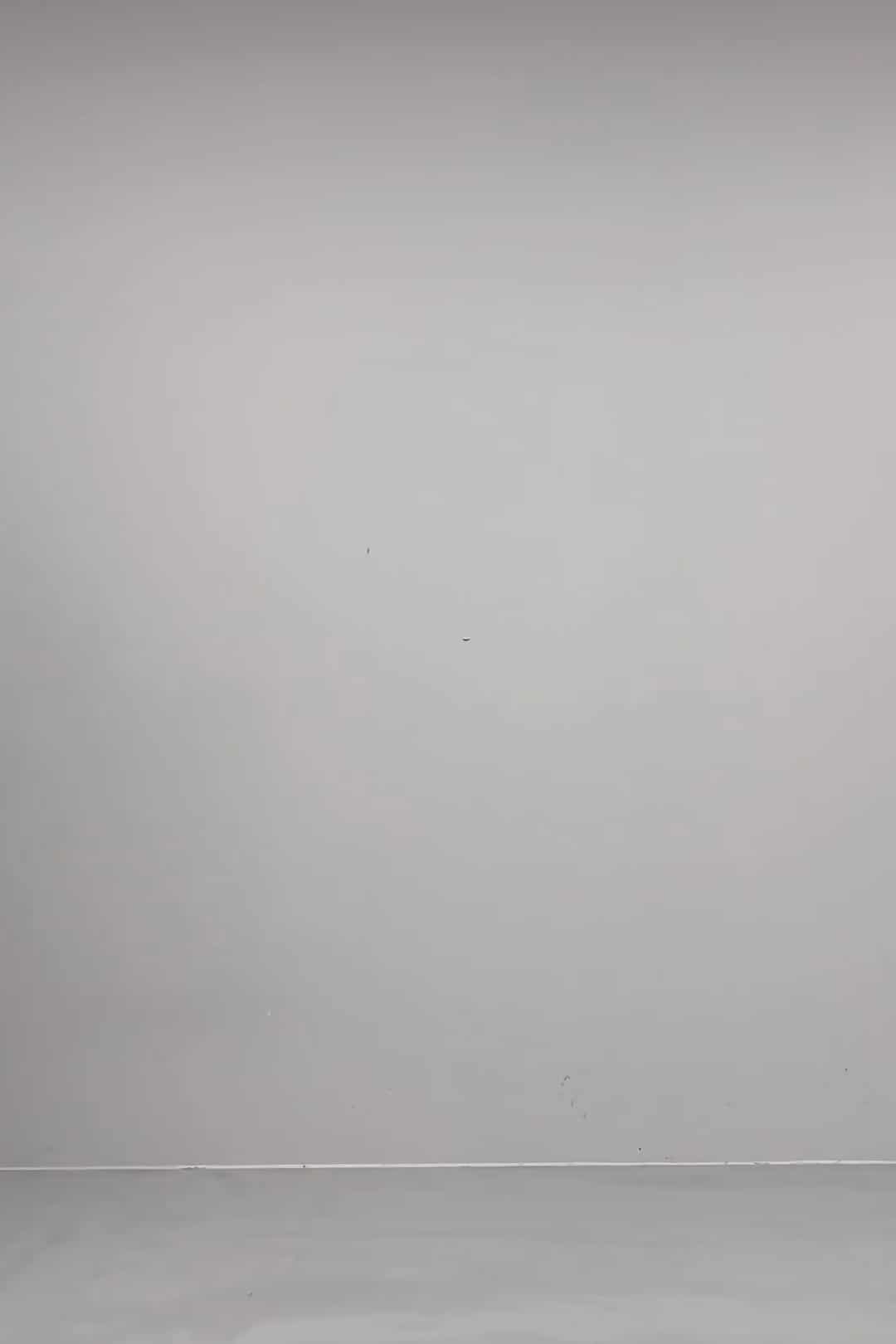 コーディネート