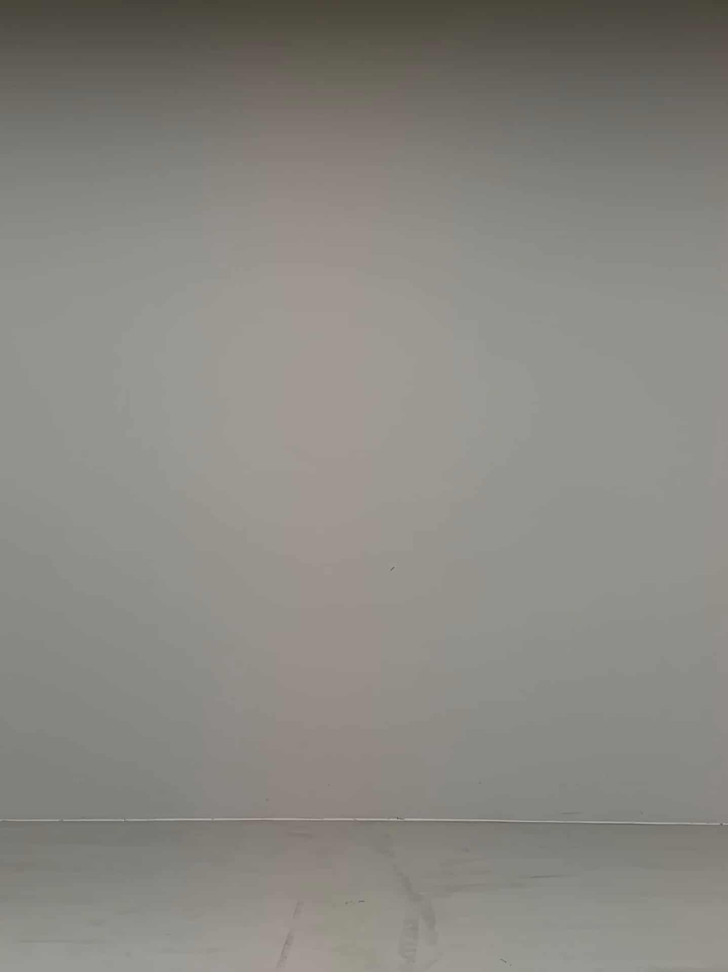 コーディネート