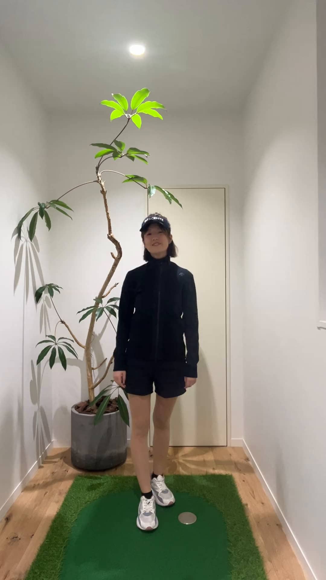 コーディネート