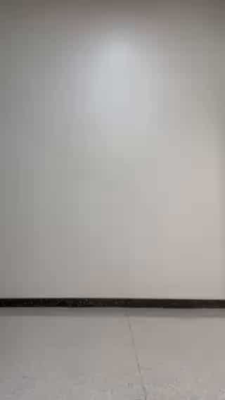 コーディネート