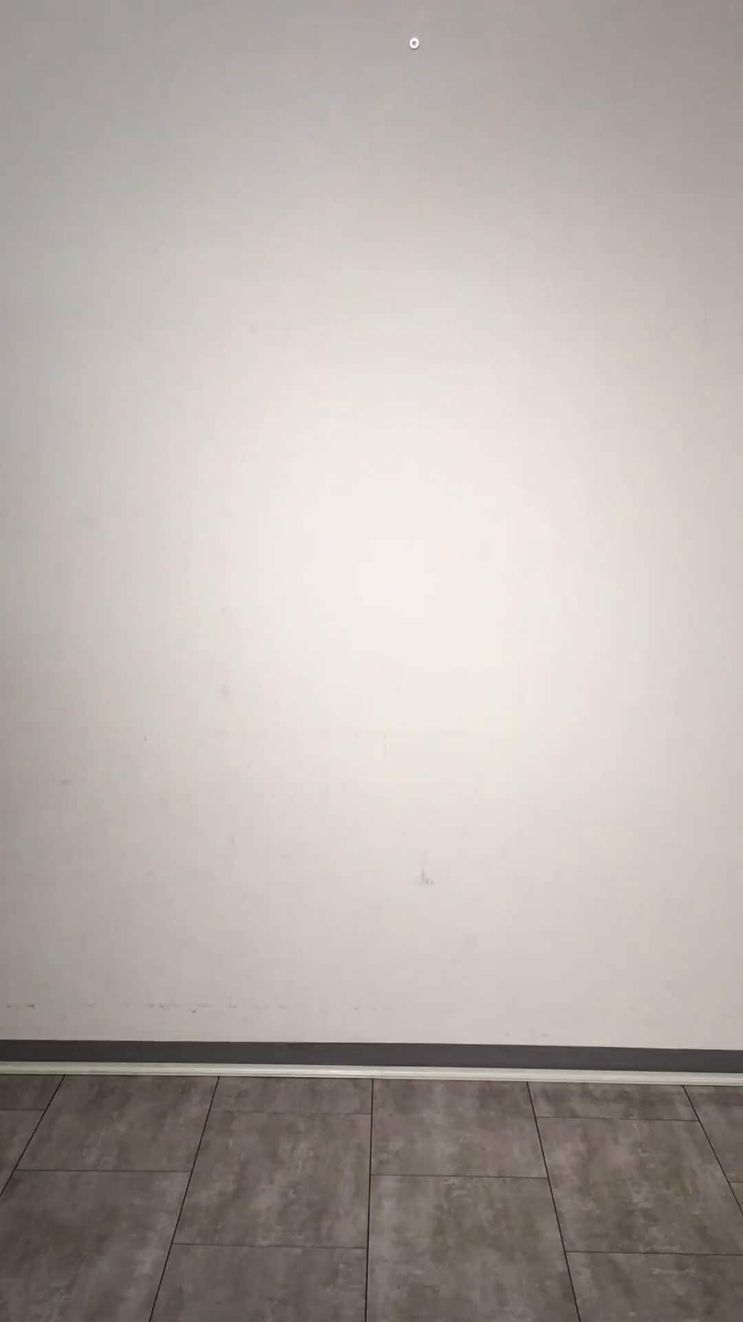 コーディネート