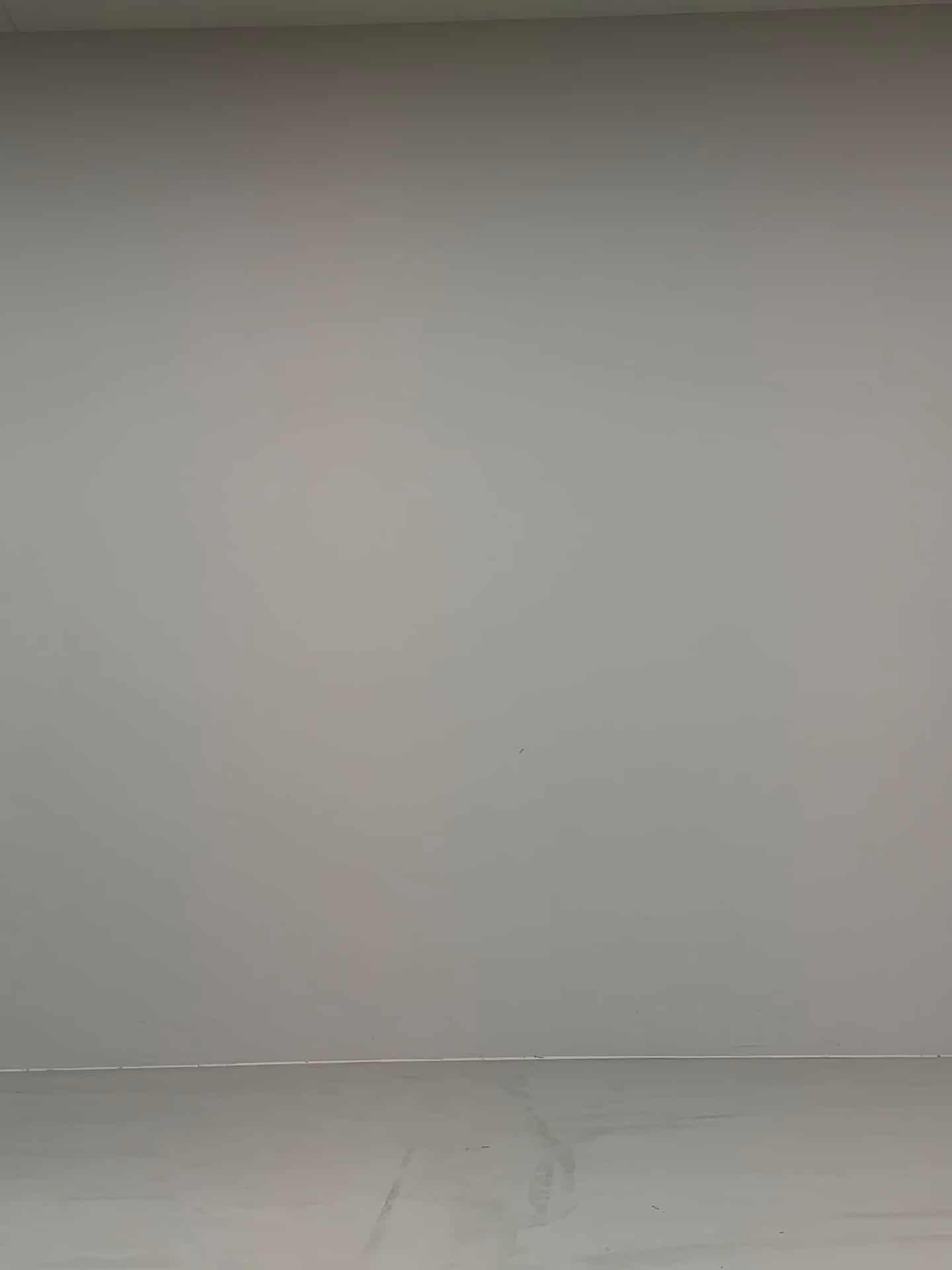 コーディネート