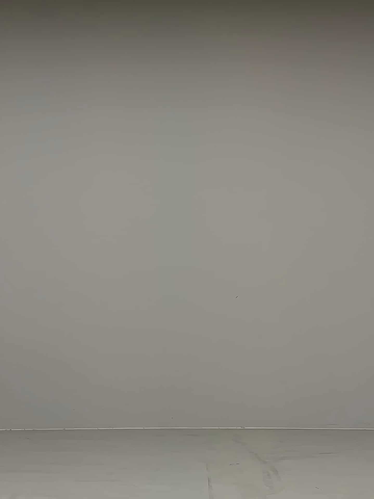 コーディネート